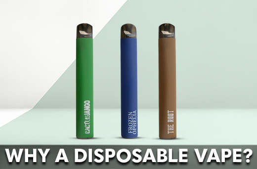 Why Vape on Disposables?