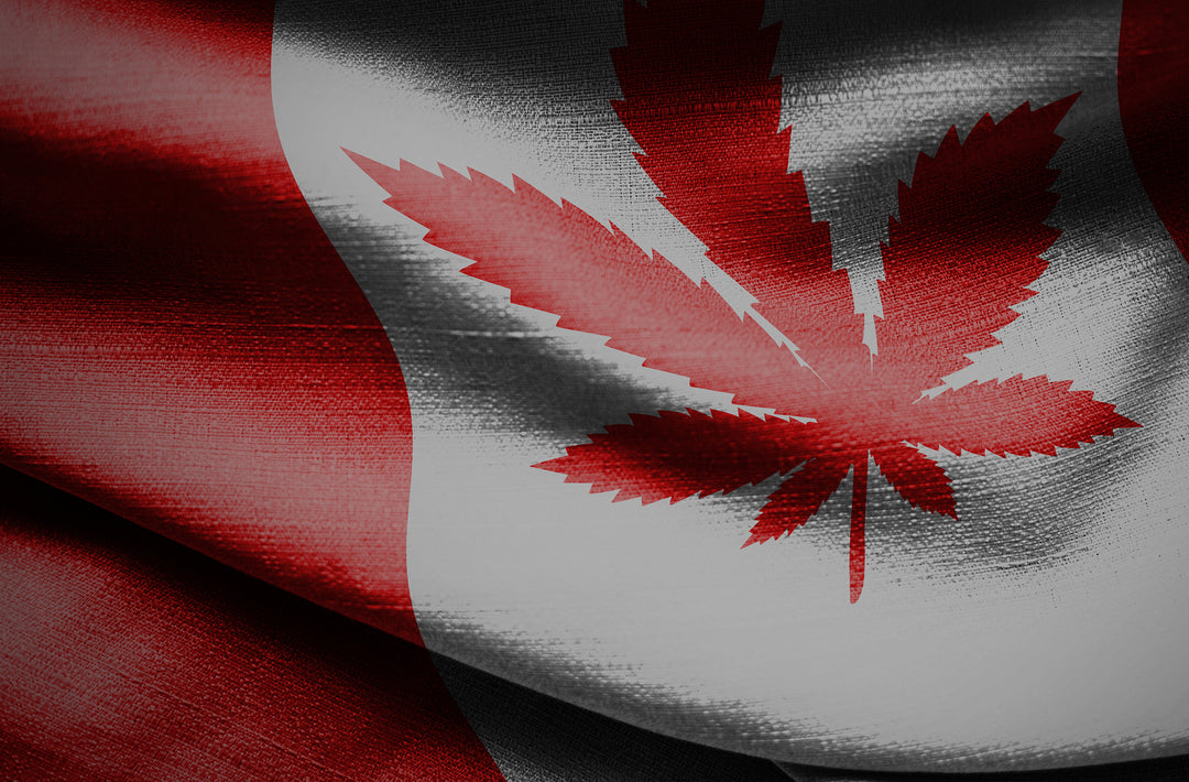 The Reality of Cannabis Legalization