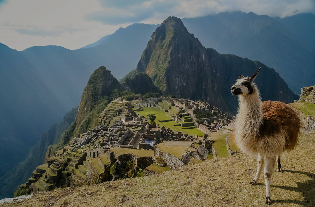 South American Vape Legalization