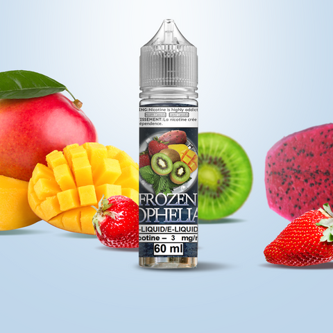 Frozen - The Journey for the perfect menthol VanGo Vapes Frozen - The Journey for the perfect menthol VanGo Vapes